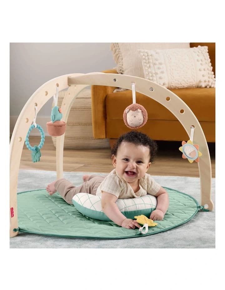 Baby Play Gym 