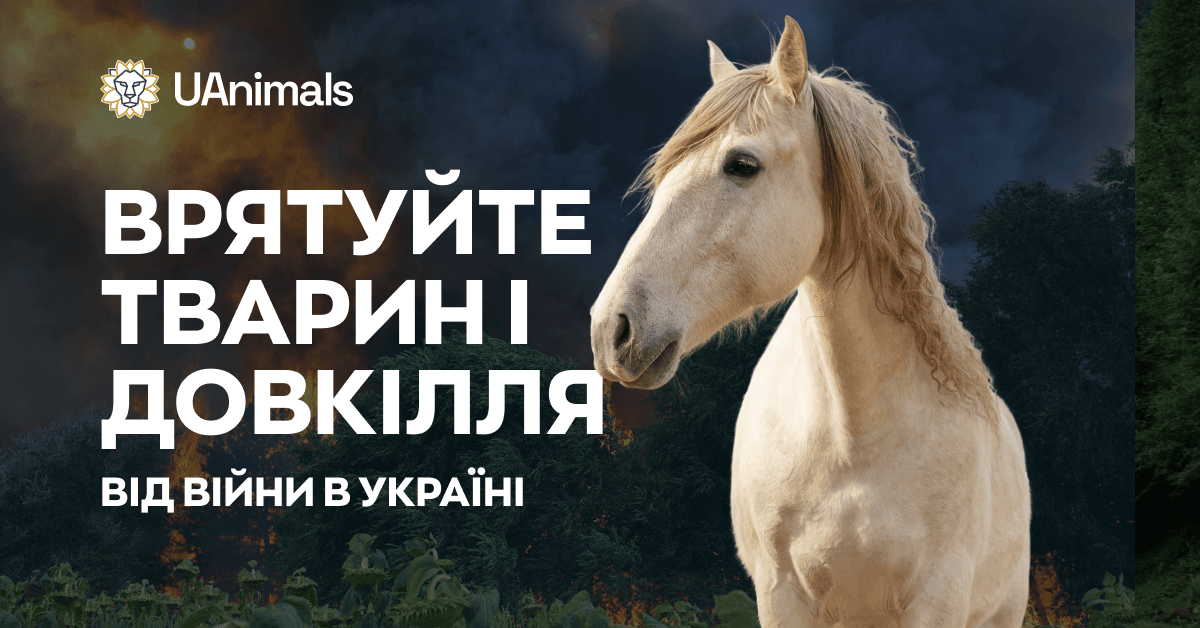 UAnimals - організація порятунку тварин і довкілля в Україні