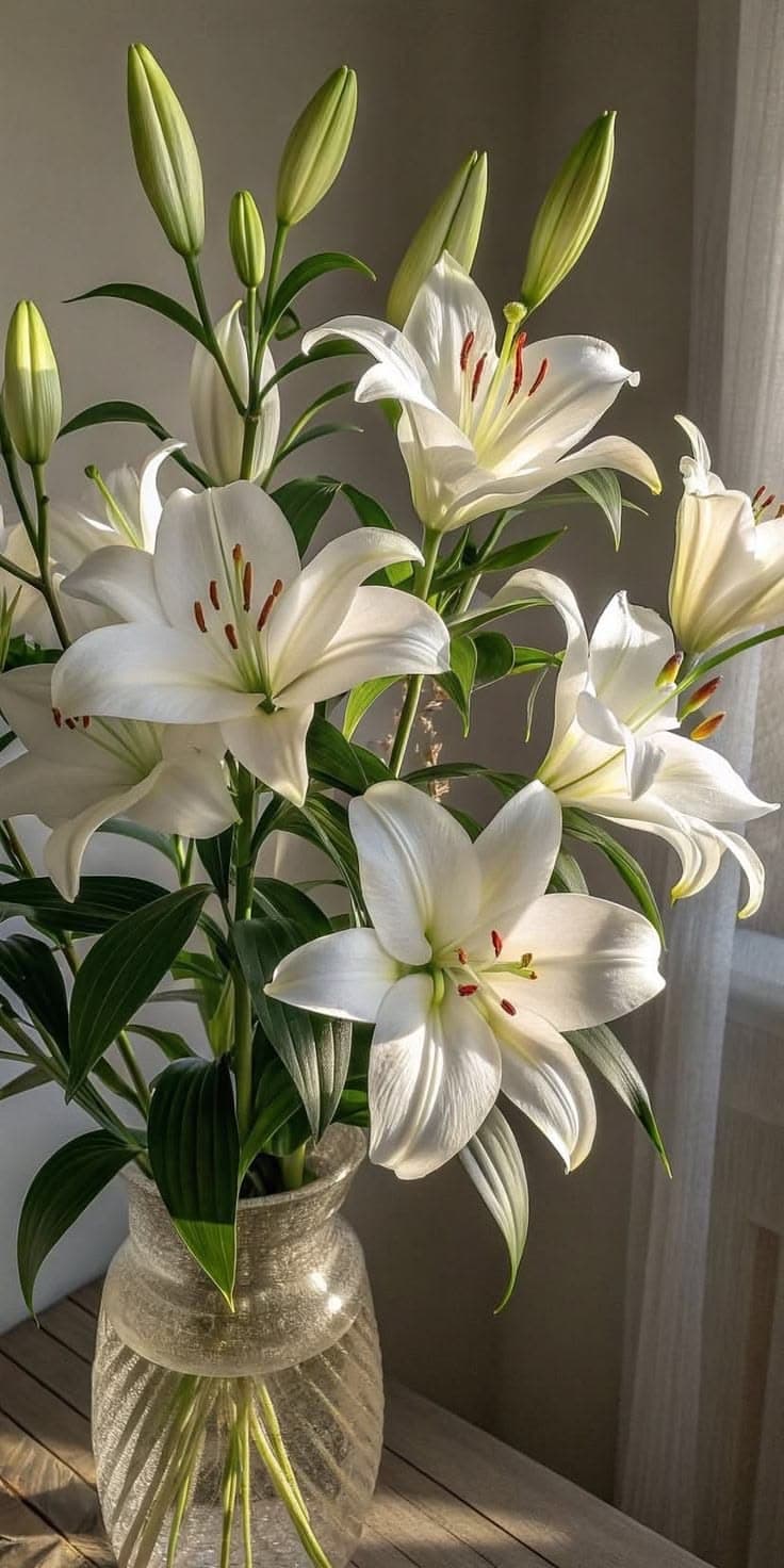 Lilies