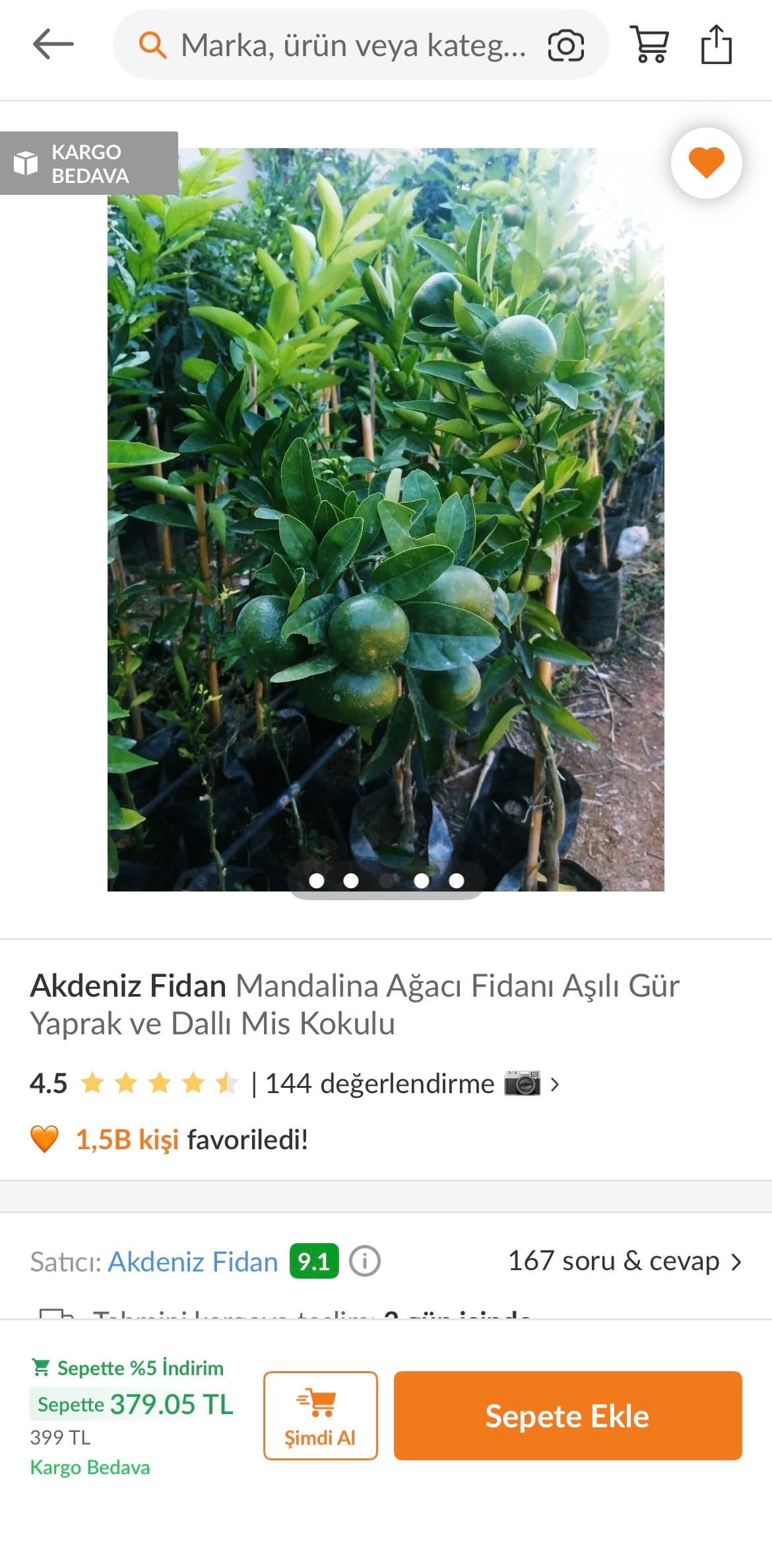 Mandalina Agaci